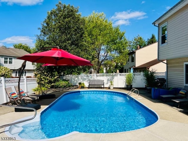 view of pool featuring a fenced in pool, a fenced backyard, and a patio area