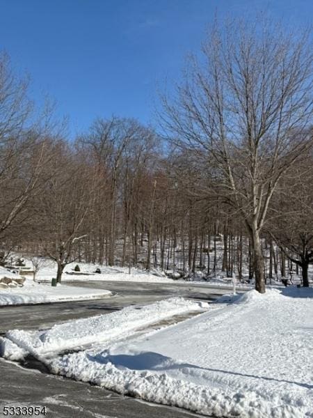 view of road