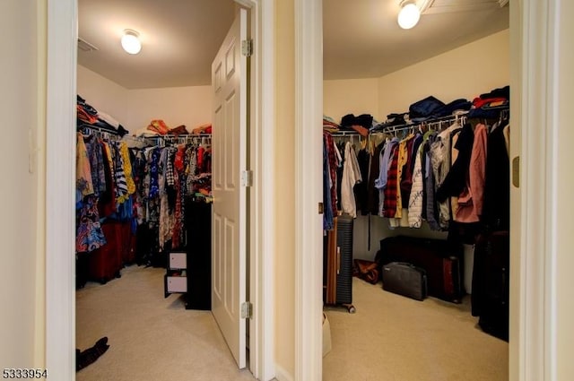 spacious closet featuring carpet floors