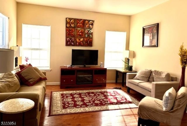 living room with a wealth of natural light and hardwood / wood-style floors