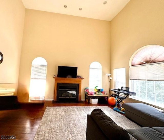 living area featuring hardwood / wood-style flooring, high vaulted ceiling, and a glass covered fireplace