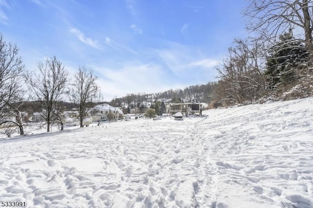 view of snowy yard