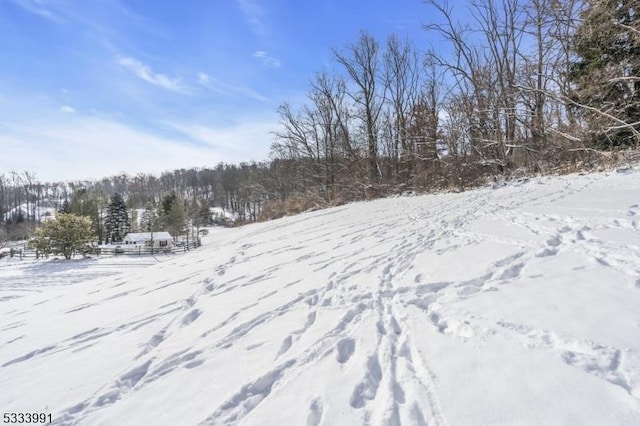 view of yard layered in snow