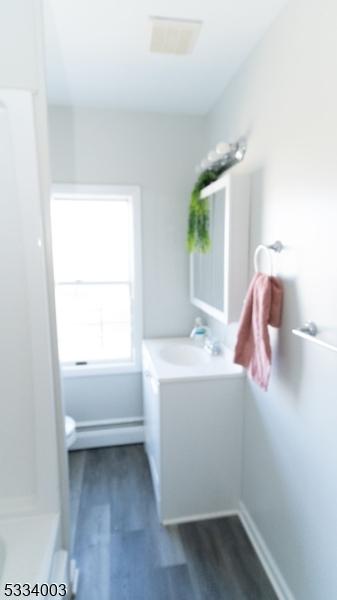 bathroom featuring vanity and hardwood / wood-style flooring