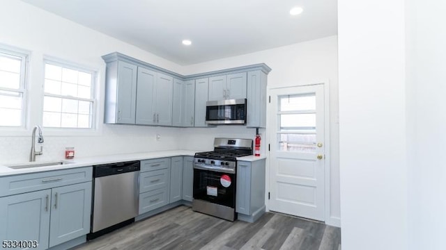 kitchen with sink, gray cabinets, dark wood-type flooring, and stainless steel appliances