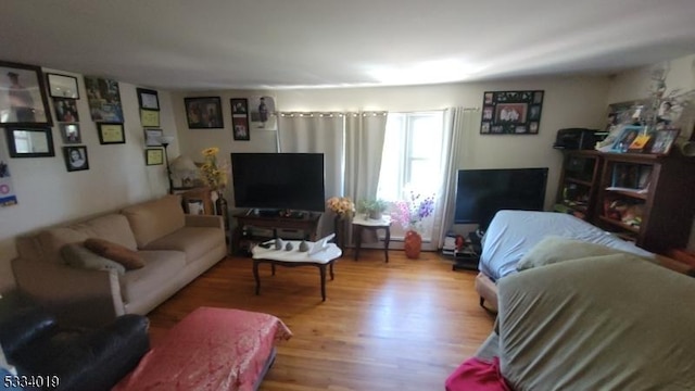 living room featuring light hardwood / wood-style flooring