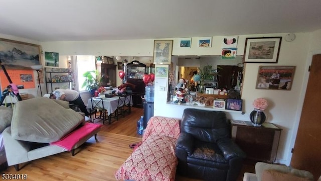 living room featuring hardwood / wood-style floors