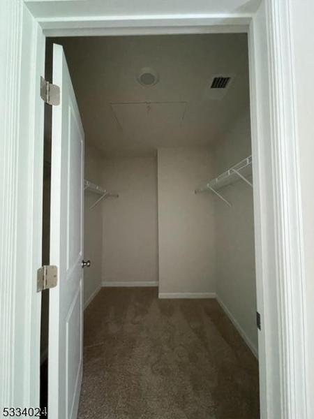 spacious closet with dark carpet