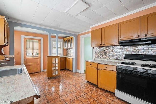 kitchen featuring sink, white gas stove, ornamental molding, and decorative backsplash