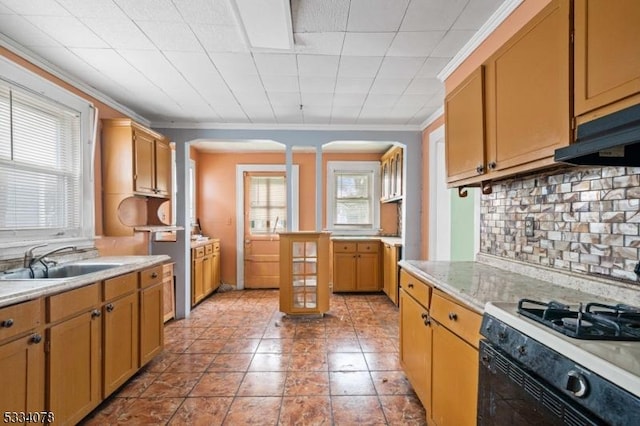 kitchen featuring crown molding, tasteful backsplash, gas range oven, sink, and a healthy amount of sunlight