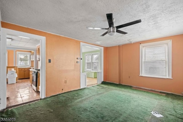 spare room featuring ceiling fan, a wealth of natural light, and carpet