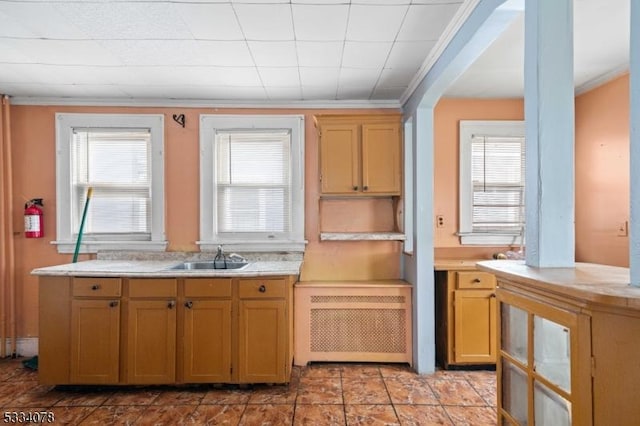 kitchen with sink, a healthy amount of sunlight, and crown molding