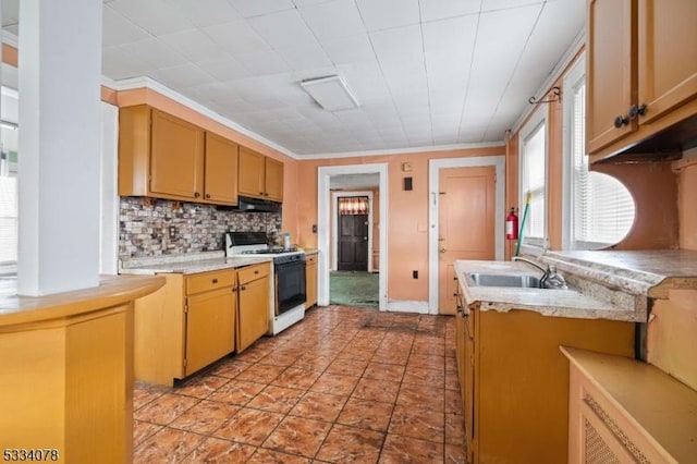 kitchen featuring sink, backsplash, gas range gas stove, and crown molding