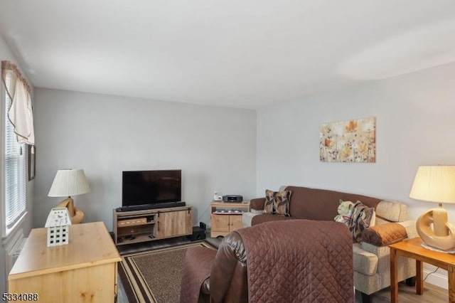 living room featuring hardwood / wood-style flooring