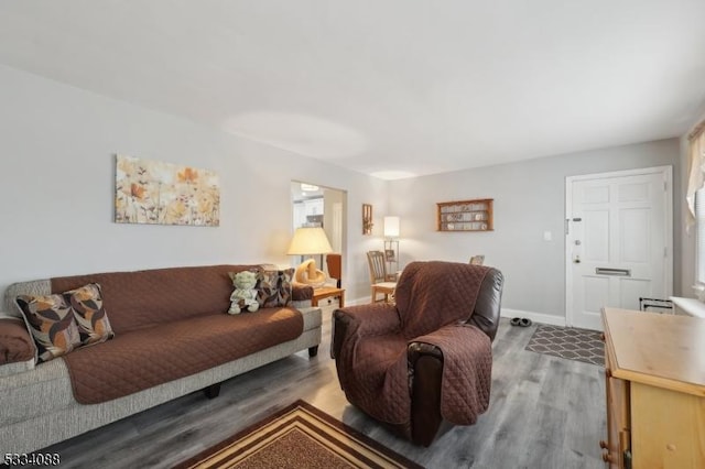 living room with hardwood / wood-style flooring