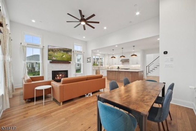 dining area with ceiling fan and light hardwood / wood-style floors