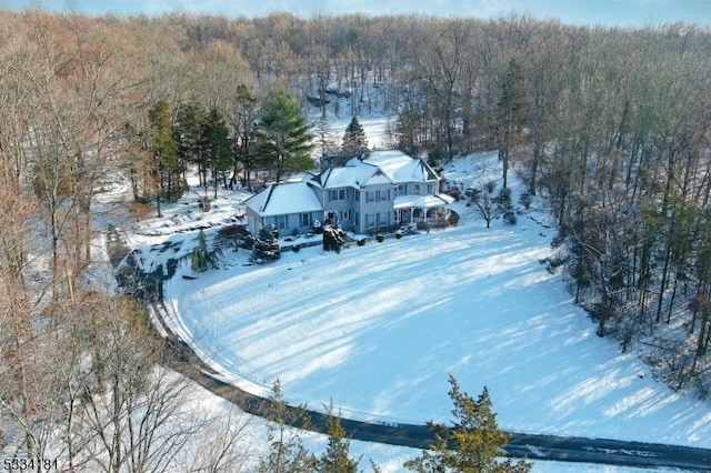 view of snowy aerial view