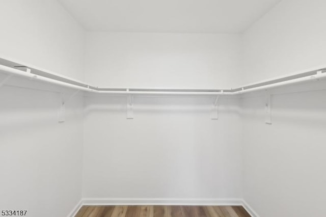 spacious closet featuring hardwood / wood-style flooring