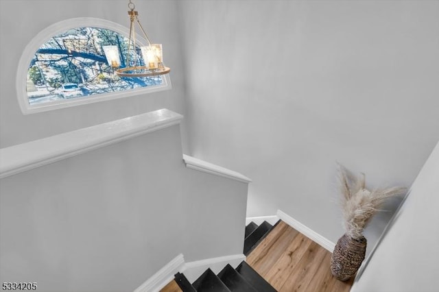 staircase with hardwood / wood-style flooring and an inviting chandelier