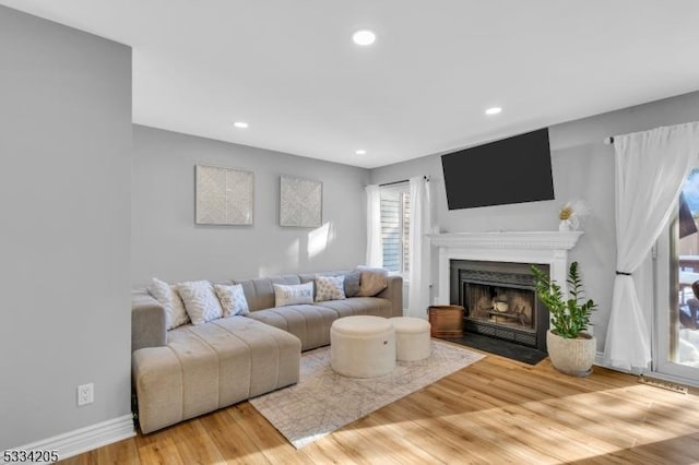 living room featuring wood-type flooring