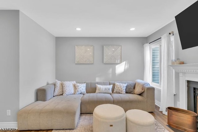 living room with light wood-type flooring