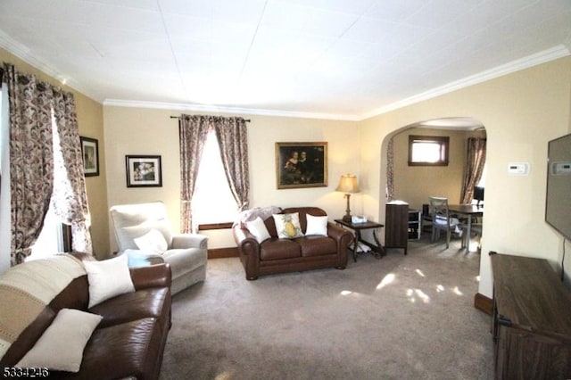 living room with crown molding and carpet