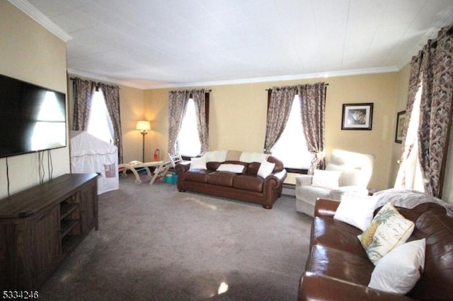 living room featuring a baseboard heating unit, ornamental molding, and carpet flooring