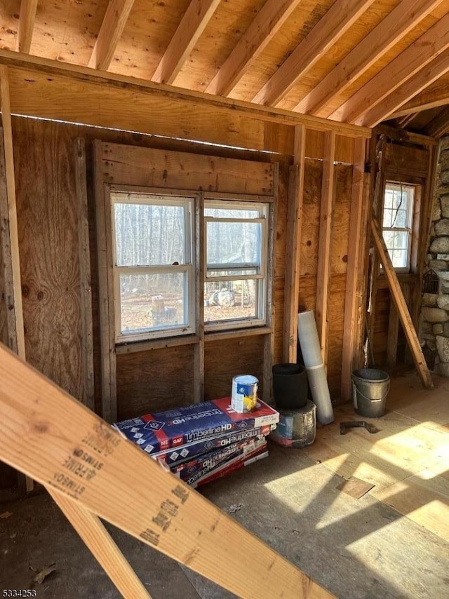 miscellaneous room with a healthy amount of sunlight