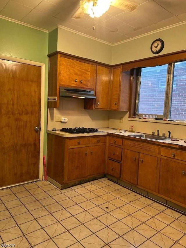 kitchen featuring crown molding, sink, gas cooktop, and ceiling fan