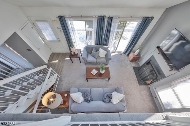 living room with wood-type flooring