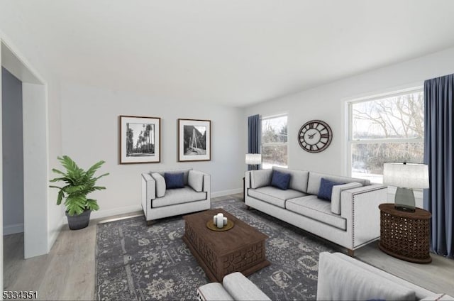 living room with wood-type flooring