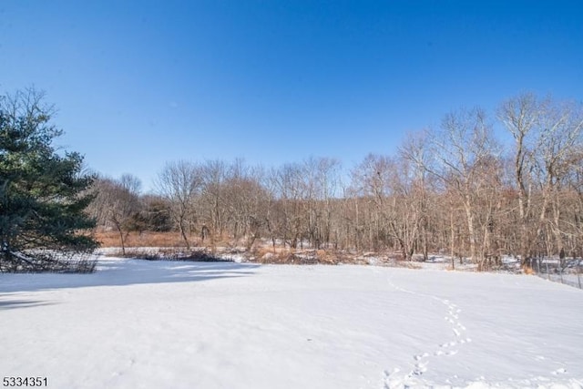 view of yard covered in snow