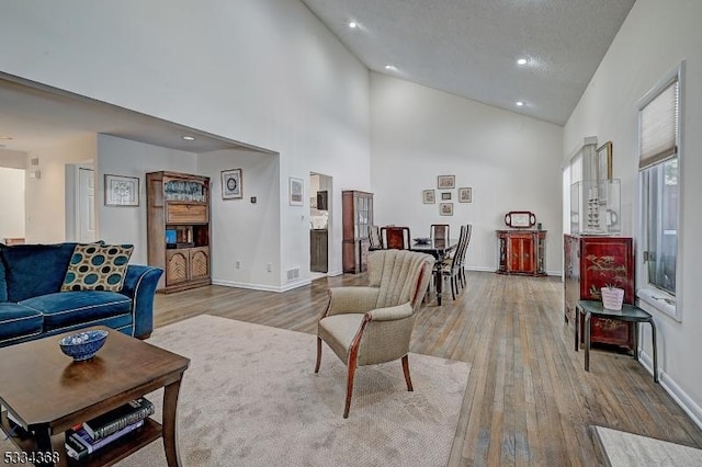 living room with high vaulted ceiling and light hardwood / wood-style floors