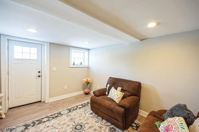 living area featuring light hardwood / wood-style floors