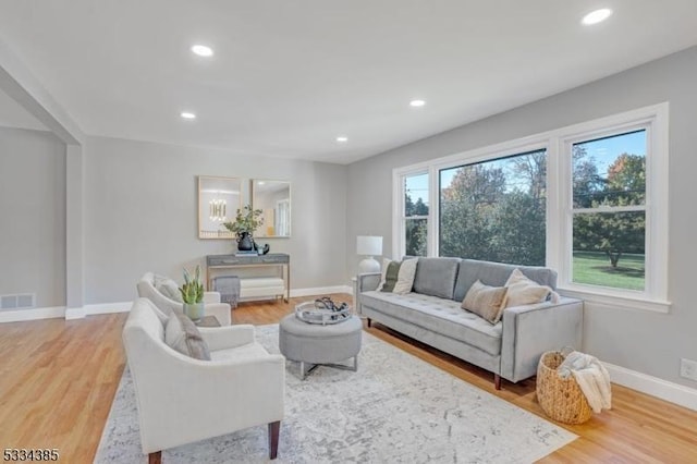 living room featuring wood-type flooring