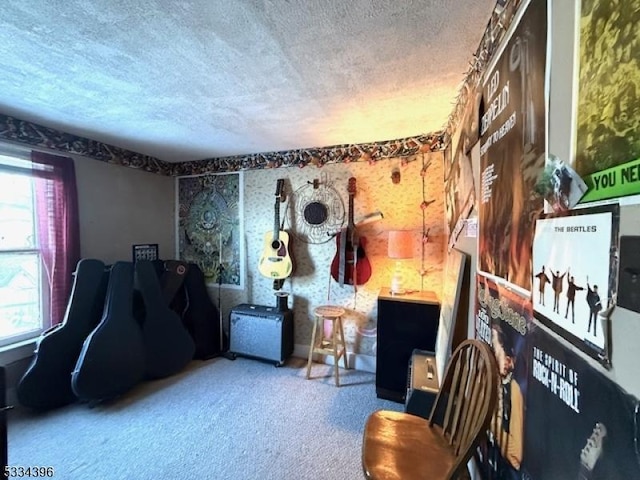 interior space featuring carpet flooring and a textured ceiling