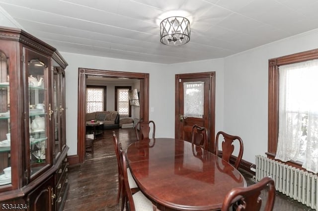 dining space featuring a notable chandelier, radiator heating unit, and dark hardwood / wood-style floors