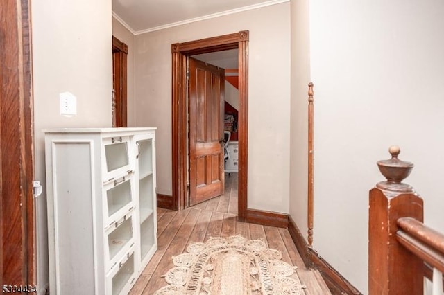 corridor featuring light hardwood / wood-style flooring and ornamental molding