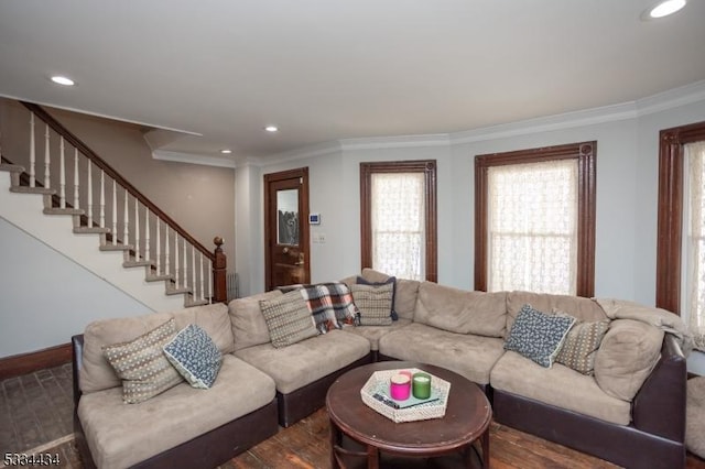 living room with crown molding and dark hardwood / wood-style floors