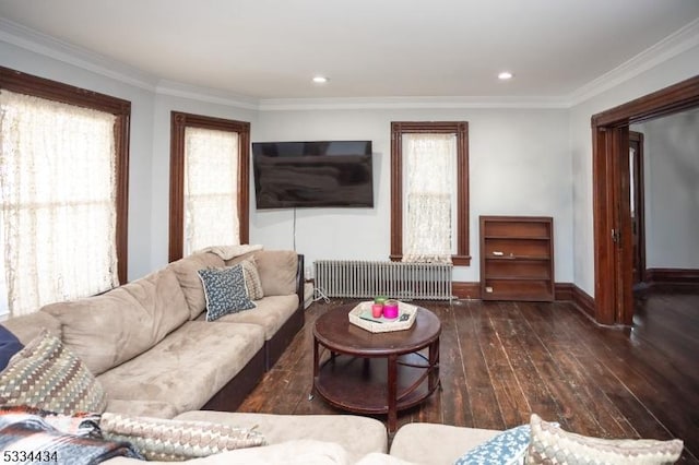 living room with dark hardwood / wood-style flooring, radiator, and crown molding