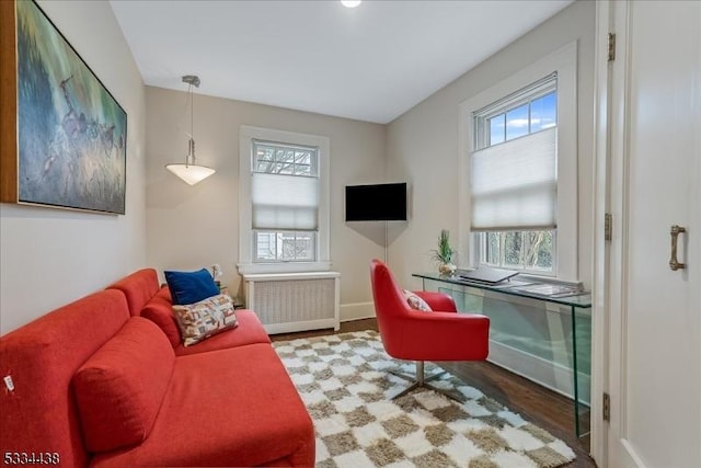 living area with a wealth of natural light, radiator, baseboards, and wood finished floors