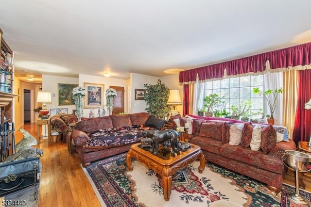 living room featuring hardwood / wood-style flooring