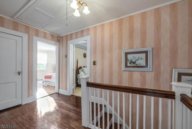 hall featuring dark hardwood / wood-style flooring