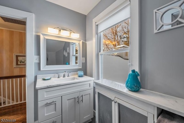 bathroom featuring vanity