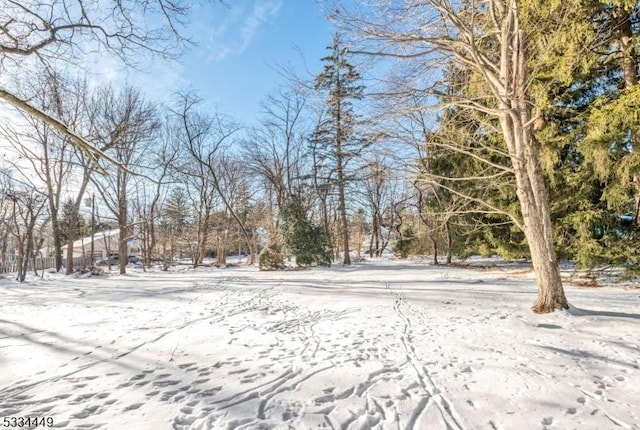 view of yard layered in snow