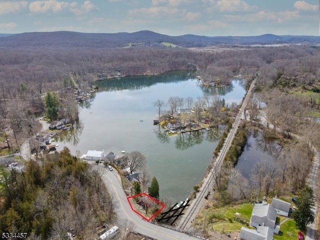 drone / aerial view with a water and mountain view