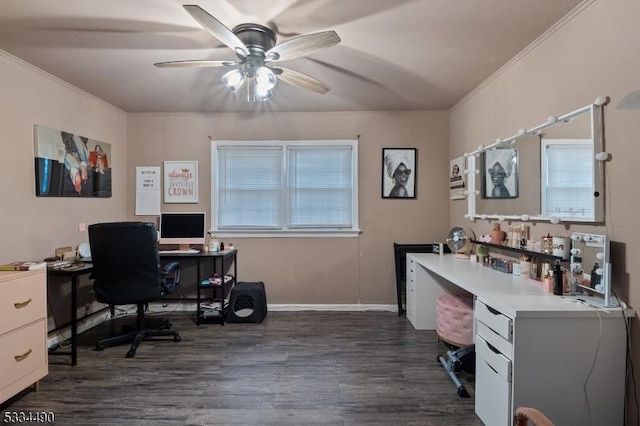 office with ceiling fan, ornamental molding, and dark hardwood / wood-style floors