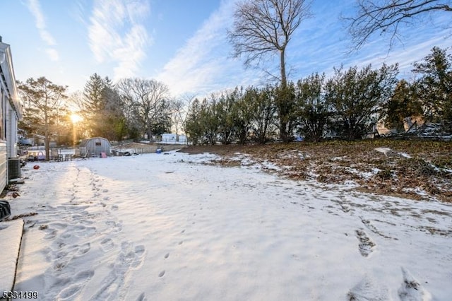 view of yard covered in snow