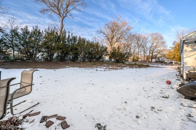 view of yard covered in snow