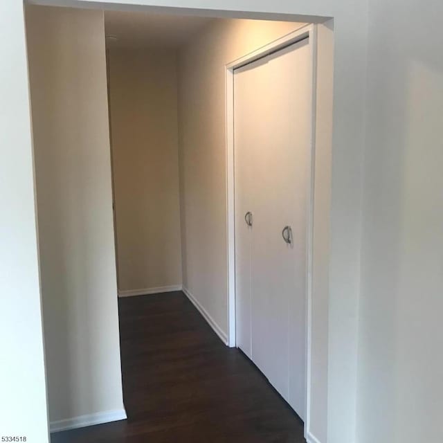 hallway featuring dark wood-type flooring